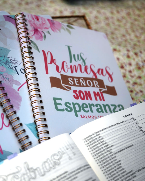 CUADERNO DE PROMESAS – "TU PALABRA ME DA ESPERANZA" (SALMOS 119:49)